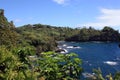 A sweeping view of Onomea Bay surrounded by rainforest in Papaikou, Hawaii Royalty Free Stock Photo