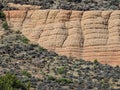 Views of sandstone and lava rock mountains and desert plants around the Red Cliffs National Conservation Area on the Yellow Knolls