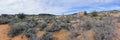 Views of sandstone and lava rock mountains and desert plants around the Red Cliffs National Conservation Area on the Yellow Knolls