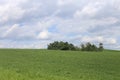 Sweeping Vistas in summer