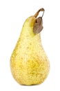 Sweet Abate Pear Royalty Free Stock Photo