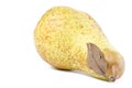 Sweet Abate Pear Royalty Free Stock Photo