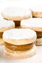 Sweet alfajor Royalty Free Stock Photo