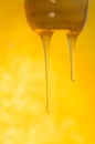 Sweet amber flower honey  flows.  Liquid  stream of honey Royalty Free Stock Photo