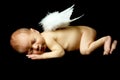 Sweet angel Royalty Free Stock Photo