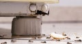 Sweet ants eating sugar and crumbs on the floor, climbing on an old fridge, dirty kitchen, need for home detection Royalty Free Stock Photo