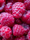 Sweet appetizing raspberry, macro