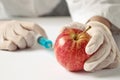 Sweet apple, genetic engineering Royalty Free Stock Photo