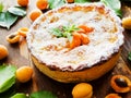 Sweet apricot pie Royalty Free Stock Photo