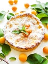 Sweet apricot pie Royalty Free Stock Photo