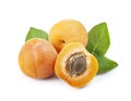 Sweet apricots with leaves Royalty Free Stock Photo