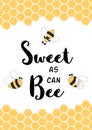 Sweet as can Bee Cute love quote Positive phrase with honeycombe frame, bees for cards, posters home decor banner Vector