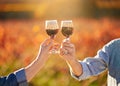 Sweet autumn wine. an unidentifiable senior couple drinking wine together while standing in a vineyard. Royalty Free Stock Photo