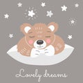 Sweet baby bear sleeps on a large pillow. Royalty Free Stock Photo