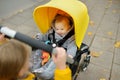 Sweet baby boy wearing warm clothes sitting in a stroller outdoors. Little child in pram. Infant kid in pushchair. Autumn walks Royalty Free Stock Photo