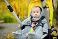 Sweet baby boy wearing warm clothes sitting in a stroller outdoors. Little child in pram. Infant kid in pushchair. Autumn walks Royalty Free Stock Photo