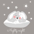 Sweet baby Bunny sleeps on a large pillow Royalty Free Stock Photo