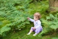 Sweet baby girl gathering wild raspberries in forest Royalty Free Stock Photo