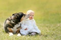 Sweet Baby Girl Getting Kiss from Pet German Shepherd Dog Outside Royalty Free Stock Photo