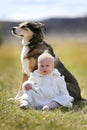 Sweet Baby Girl Getting Kiss from Pet German Shepherd Dog Outside Royalty Free Stock Photo