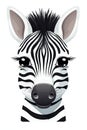 Sweet Baby Zebra Illustration for Invitations and Posters.