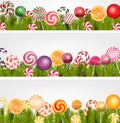 Sweet banner with pine tree, lollipop and orange slice Royalty Free Stock Photo