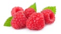 Sweet barries of raspberry