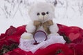 Sweet bear with treasure box