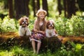 Sweet beautiful girl 7 years old hugs two identical Shih Tzu dogs on a clearing in the forest