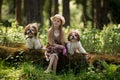 Sweet beautiful girl 7 years old hugs two identical Shih Tzu dogs on a clearing in the forest