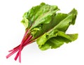 Sweet beet leafs(mangold) on white Royalty Free Stock Photo