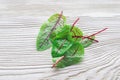 Sweet beet leaves mangold on white table Royalty Free Stock Photo
