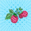 Sweet berries of raspberries on a green branch on blue background. Vector illustration. Hand drawn on style pop art Royalty Free Stock Photo