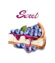 Sweet berry cheesecake Vector watercolor. delicious desserts with fruit topings