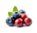 Sweet berry of cranberries and blueberries Royalty Free Stock Photo