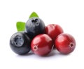 Sweet berry of cranberries and blueberries Royalty Free Stock Photo