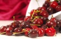 Sweet bing cherries flowing out of a colander