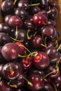 Sweet bing cherries Royalty Free Stock Photo