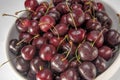 Sweet bing cherries