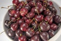 Sweet bing cherries Royalty Free Stock Photo