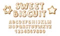 Sweet biscuit font and Gingerbread cookie alphabet. Glazed crackers in shape of letters and numbers, star and snowflake