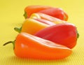 Sweet bite peppers of different colors Royalty Free Stock Photo