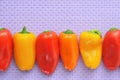 Sweet bite peppers of different colors Royalty Free Stock Photo