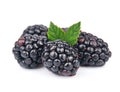 Sweet blackberry fruit Royalty Free Stock Photo