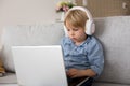 Sweet blond child, boy in casual clothes, woring on computed at home