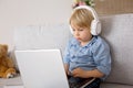 Sweet blond child, boy in casual clothes, woring on computed at home