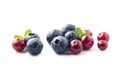 Sweet blueberries and cranberries Royalty Free Stock Photo
