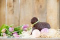 Sweet Bread and Cake for Easter Brunch with Tulips and Eggs Royalty Free Stock Photo