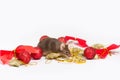 Sweet brown mouse sitting among red and gold Christmas decorations. Royalty Free Stock Photo