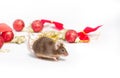 Sweet brown mouse sitting among red and gold Christmas decorations. Royalty Free Stock Photo